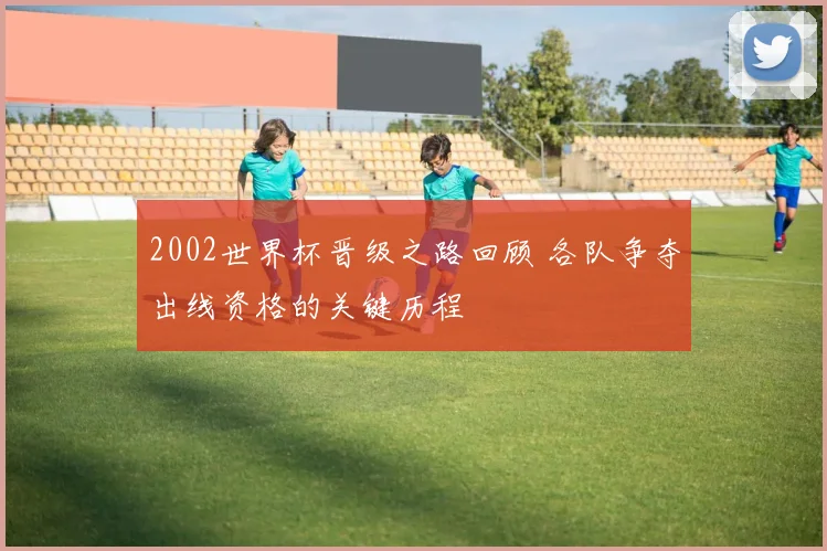 2002世界杯晋级之路回顾 各队争夺出线资格的关键历程
