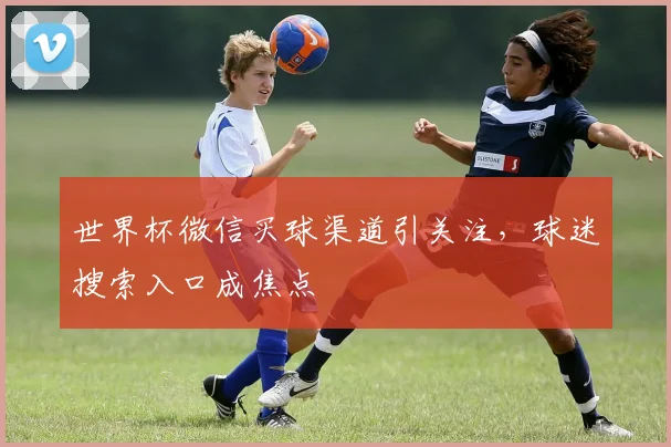 世界杯微信买球渠道引关注,球迷搜索入口成焦点