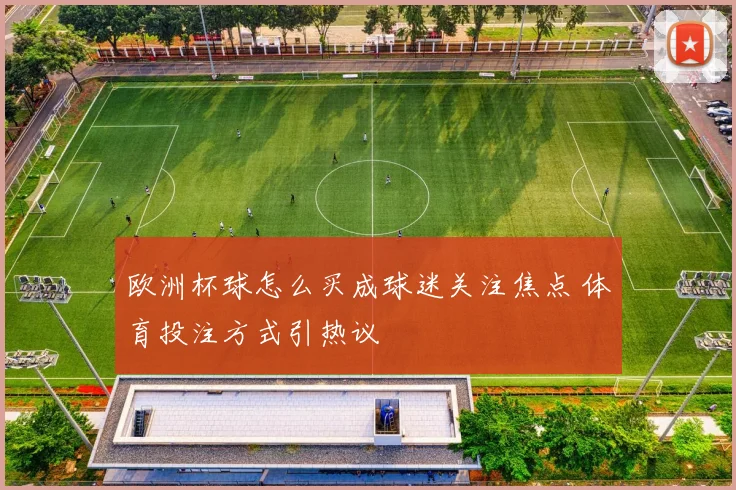 欧洲杯球怎么买成球迷关注焦点 体育投注方式引热议