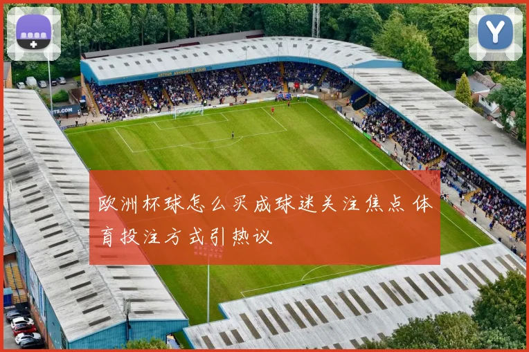 欧洲杯球怎么买成球迷关注焦点 体育投注方式引热议