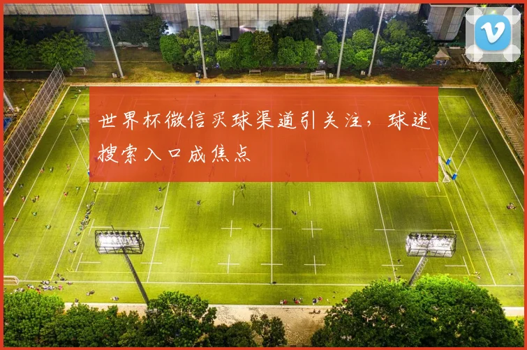 世界杯微信买球渠道引关注,球迷搜索入口成焦点