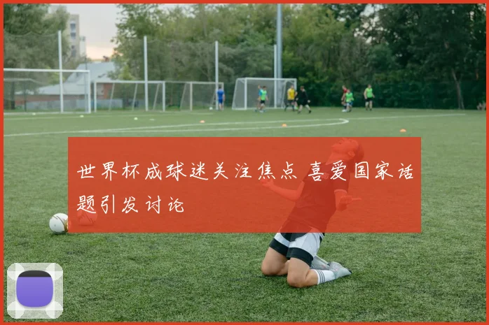 世界杯成球迷关注焦点 喜爱国家话题引发讨论