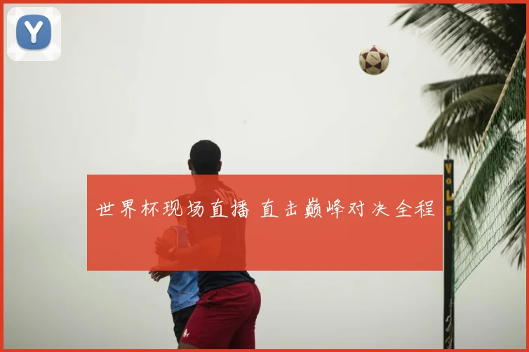 世界杯现场直播 直击巅峰对决全程