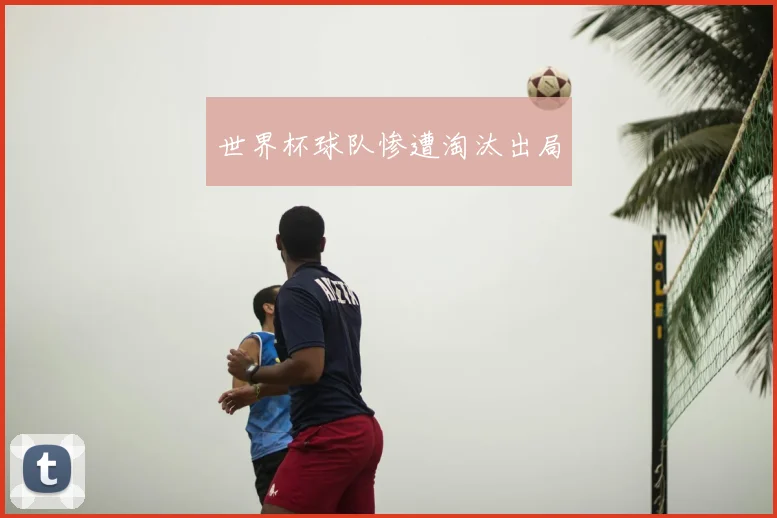 世界杯球队惨遭淘汰出局