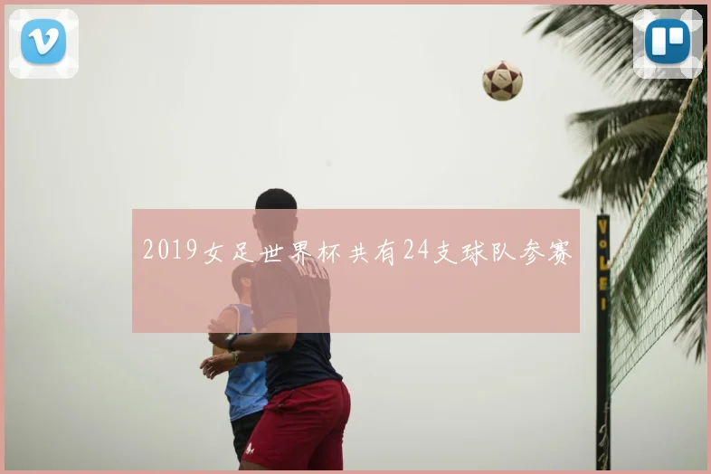 2019女足世界杯共有24支球队参赛